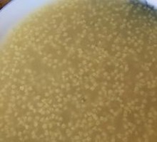 Rice Porridge