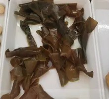 Kelp Clam