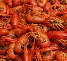 Spicy Crawfish