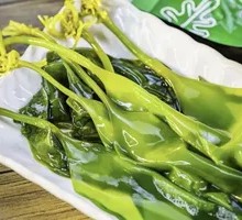 Sea lettuce