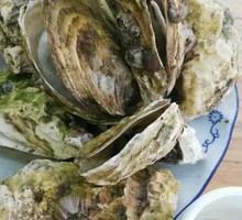 Oyster