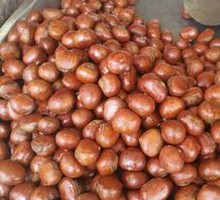 Candied Chestnuts