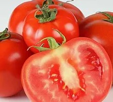 Tomato