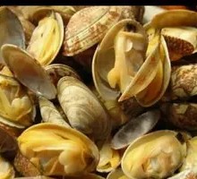 Microwave Clams