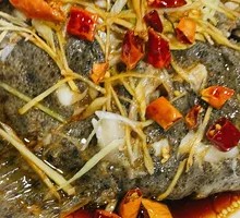 Turbot