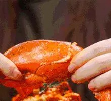 Boston Lobster