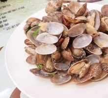 Clam