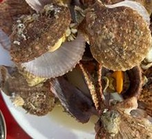 Scallop