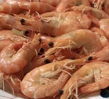 Freshly Caught Large Shrimp