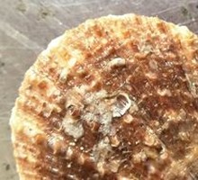 Garlic Steamed Scallops