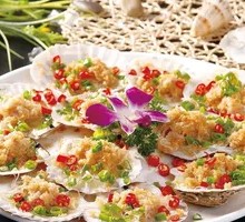 Fresh Scallop
