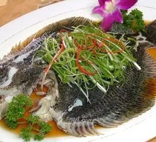 Scallion Oil-Poured Sea Bream