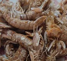 Shrimp Tiger