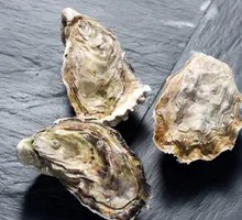 Grilled Oysters