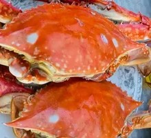 Crab