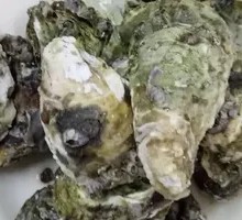 Steamed Oysters