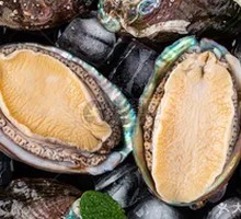 Abalone