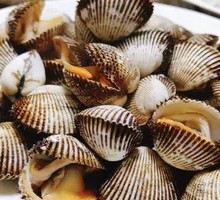 Hair Clam