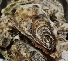 Steamed Oysters