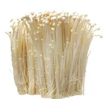 Enoki Mushroom