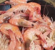 Boiled Shrimp