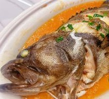 Deep-sea Yellow Croaker