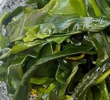 First Water Sea Cucumber Sprout