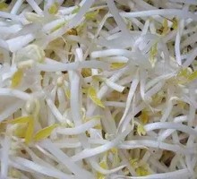 Mung Bean Sprouts