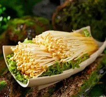 Enoki Mushroom