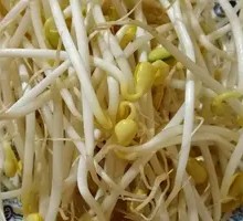 Bean Sprout Hot Pot Base