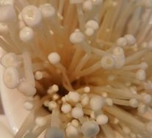 Enoki Mushroom