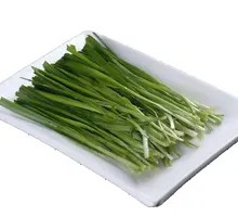 Leek