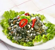 Spicy Sea Green Snail