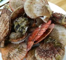 Steamed Local Scallops