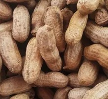 Salted Boiled Peanuts