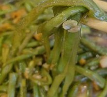 Dry Pot String Beans