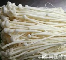 Enoki Mushroom