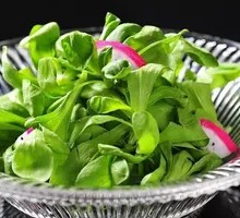 Cold-Pressed Baby Bok Choy