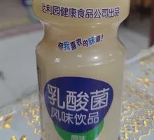 乳酸菌风味饮品