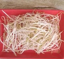 Crispy Mung Bean Sprouts