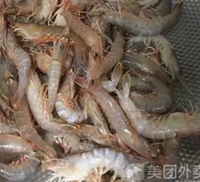Standing Shrimp