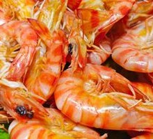Boiled Fresh Shrimp