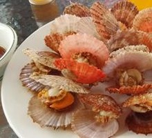 Fresh Scallop in Original Broth
