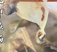 Softshell Turtle Hot Pot