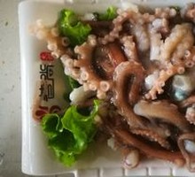 Live Octopus