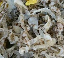 Deep-sea Fish Skin