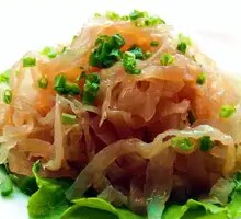 Mixed Jellyfish Skin
