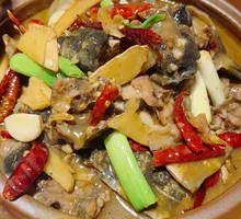 Braised Turtle from Reservoir