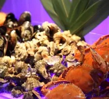 Self-Service Seafood