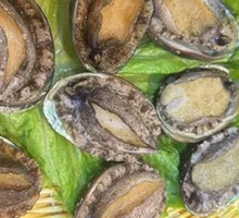 Premium Abalone
